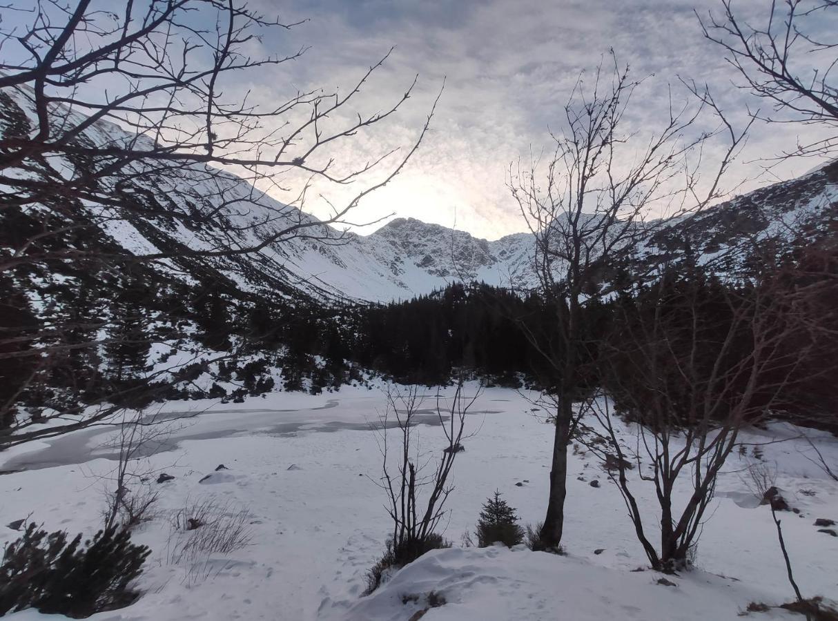 Western Tatras Slovakia Oravsky Biely Potok ภายนอก รูปภาพ