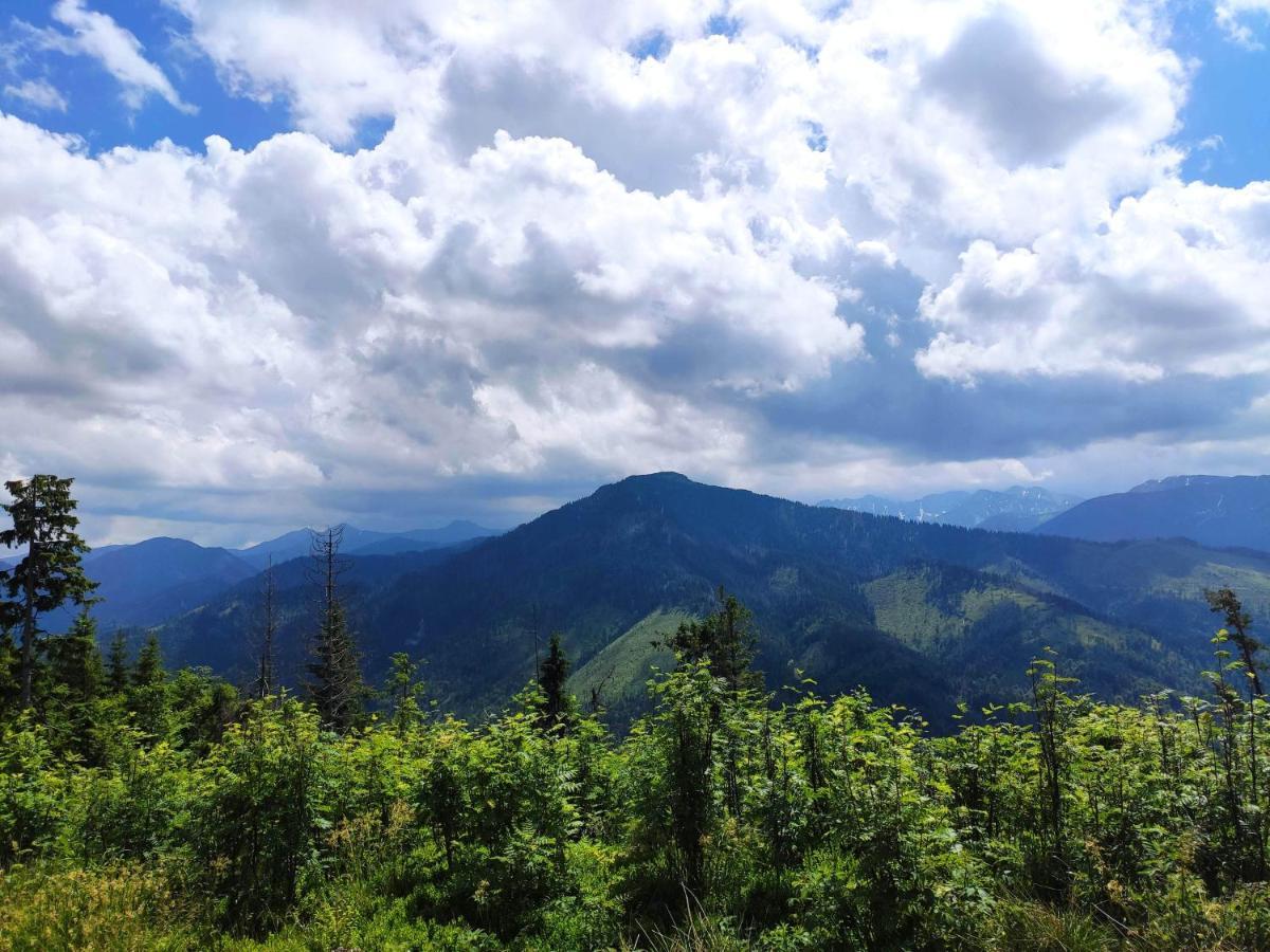 Western Tatras Slovakia Oravsky Biely Potok ภายนอก รูปภาพ